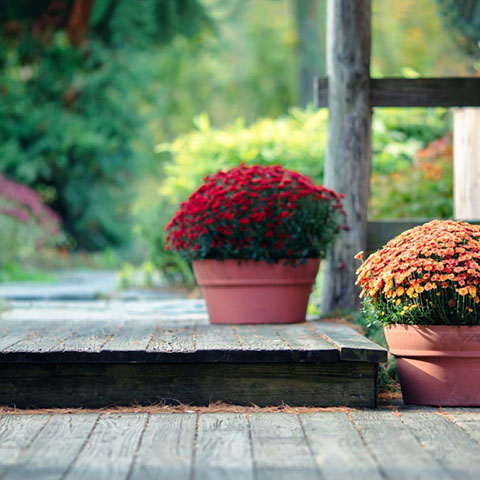 ”="2020淘宝双十二活动自动化脚本-都想收完了"“