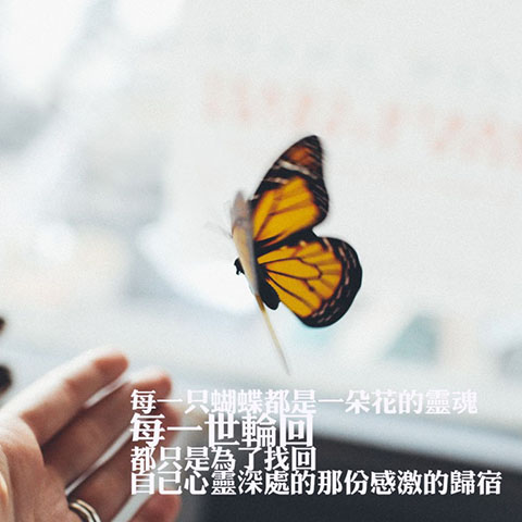 ”="2020淘宝双十二活动自动化脚本-都想收完了"“