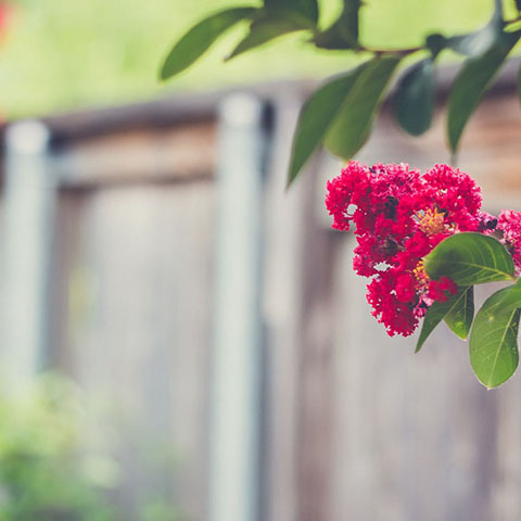 2020淘宝双十二活动自动化脚本