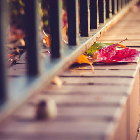 ”="2020淘宝双十二活动自动化脚本-都想收完了"“